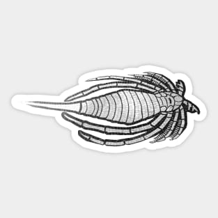 Eurypterid Sticker